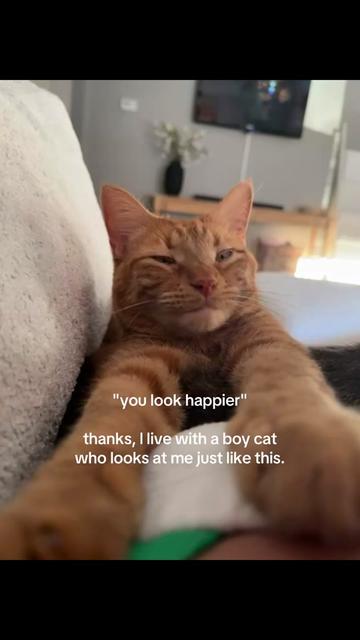 @Anastasia Aarons