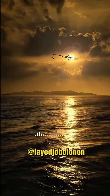 @layedjobolonon