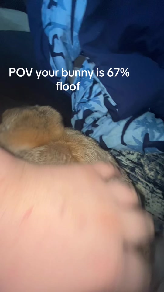 @Fadedbunny69