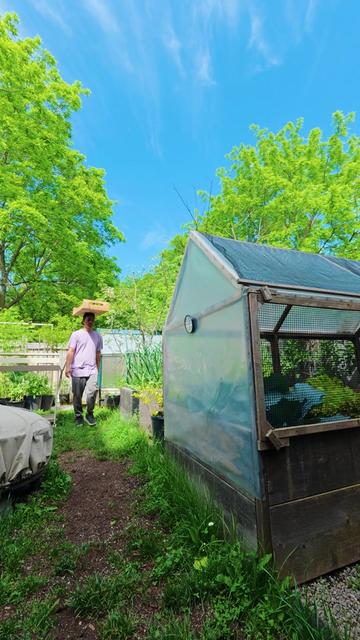 @Planted in the Garden