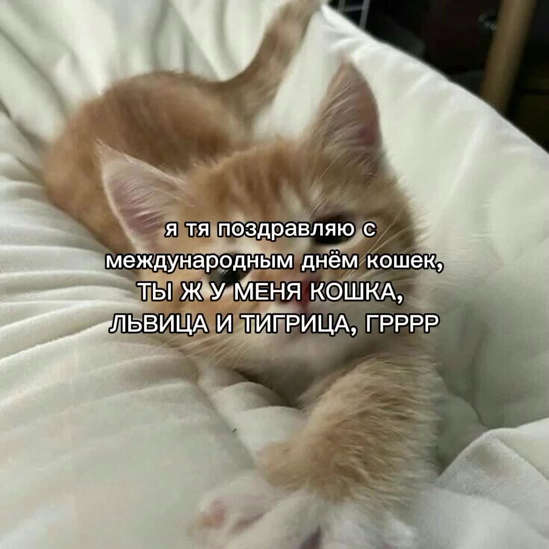 @кисми^^