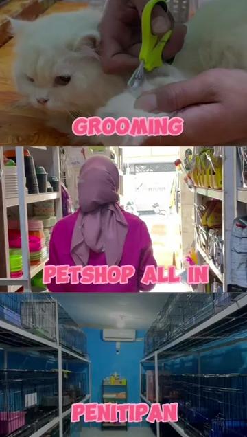 @Vdb petshop