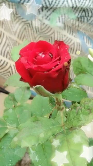 @sanju 1999