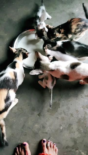 @bijaylaxmi 002