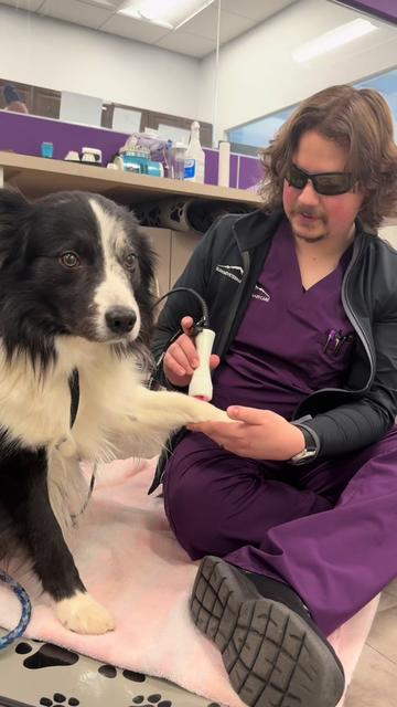 @Summit Veterinary Care