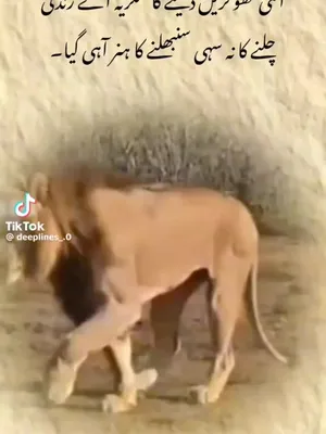 @Roh e Sanam