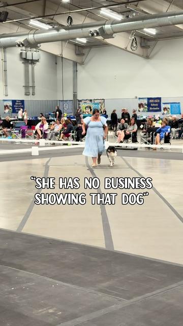 @thesaltysheps