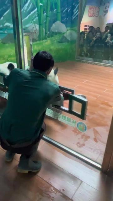 @熊猫妹珠🐼