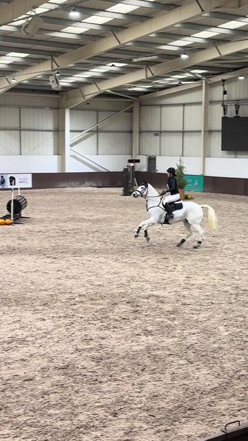 @amelia_showjumping2
