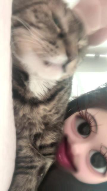 @ganzi_kitty