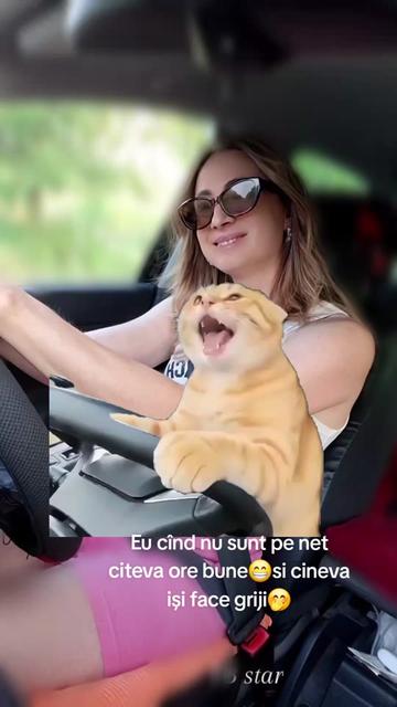 @Mariana Ungureanu