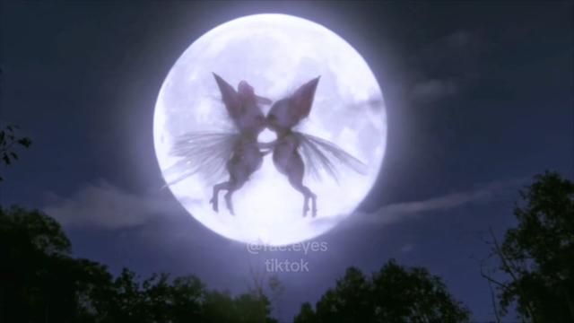 @Fae Nest