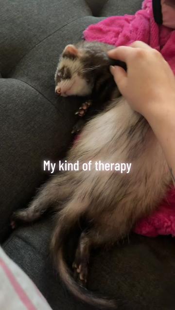 @kendall.rayne7
