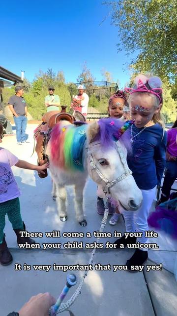 @The Posh Unicorn