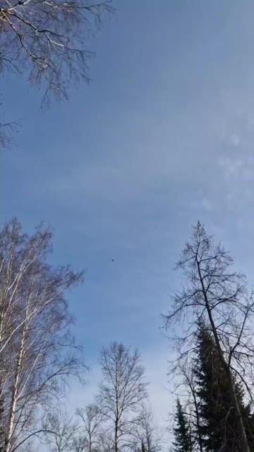 @Evgeniy