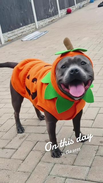 @Maximus Prime