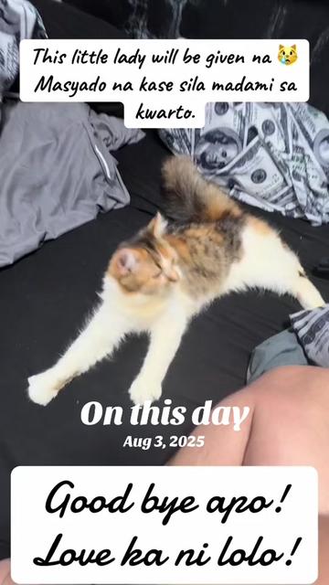 @TheCatFather