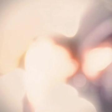 @organela