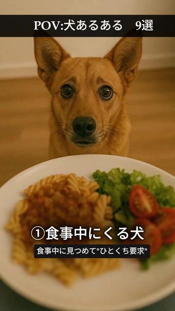 @カピバラ先生