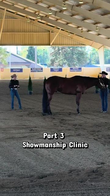 @yourhorseandponyleader