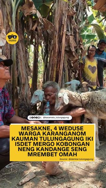 @kacamata_tulungagung