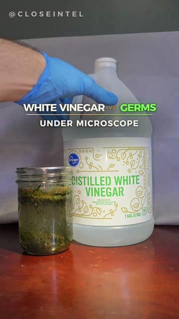 @Micro Man