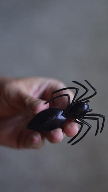 @Fun4spidey