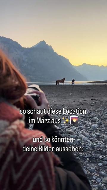 @Lorea ☾ Equine Imagery