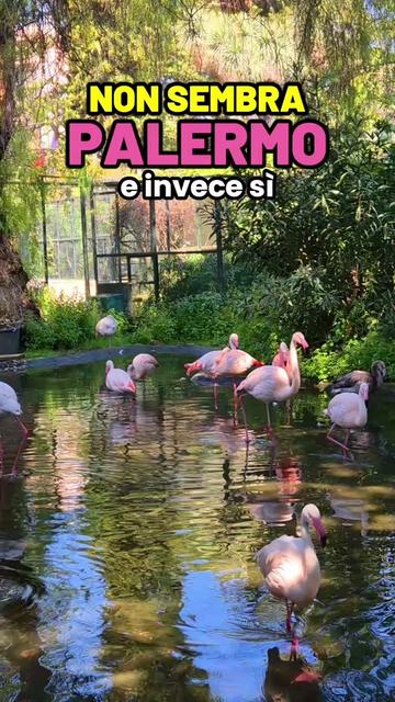 @Amore a primo viaggio