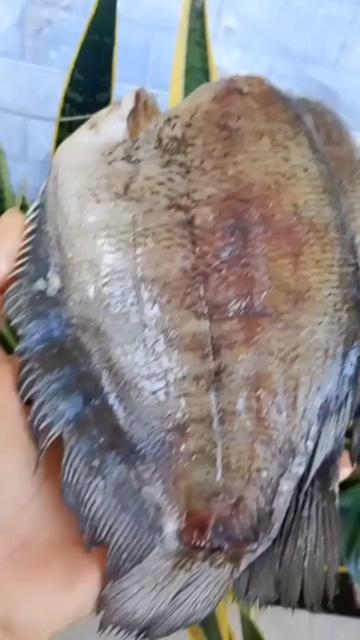 @FB:Quốc Khánh