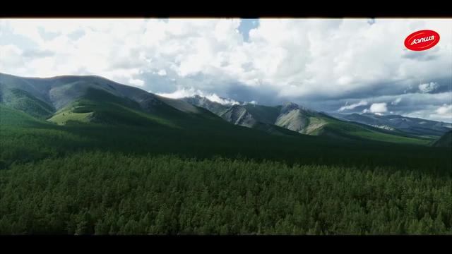 @green_group_21_aimag