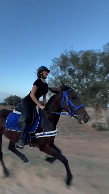 @Feres Ben Amor 🏇