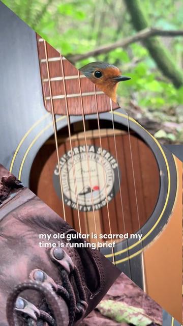 @Emma Hunt Music 🎵🦓