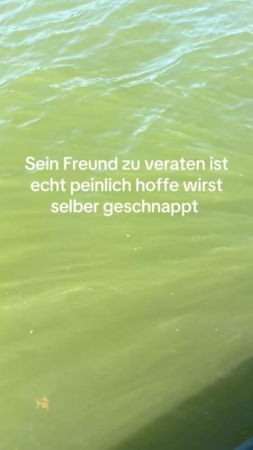@zwck_fbs