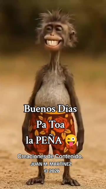 @VIAJANDO_POR_LA_VIDA ☑️