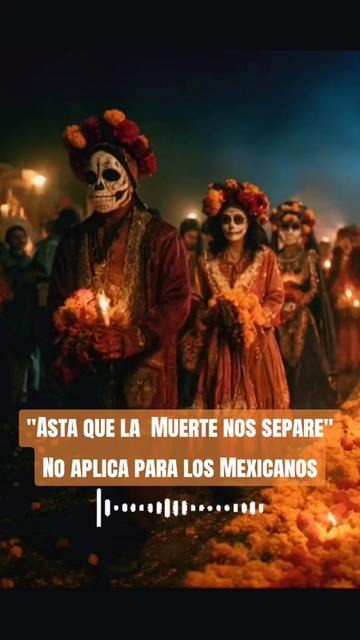 @Miguel Angel Official