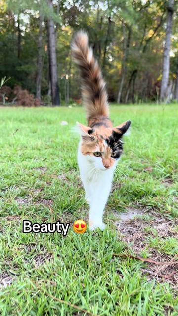 @miricountrylife
