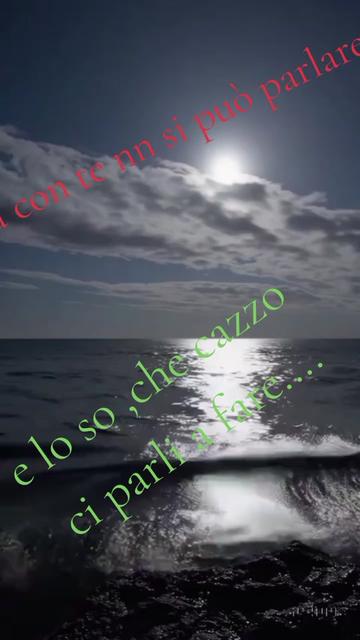 @panteranera832