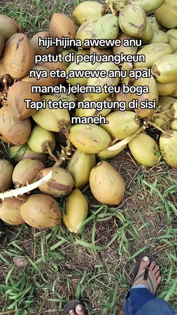 @@BANGKIT_MANDIRI01