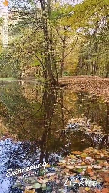 @Ｂａｌｕ７５７５６ 🇩🇪