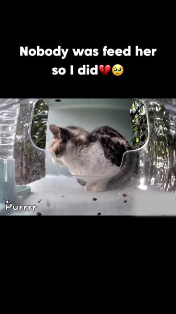 @purrrr