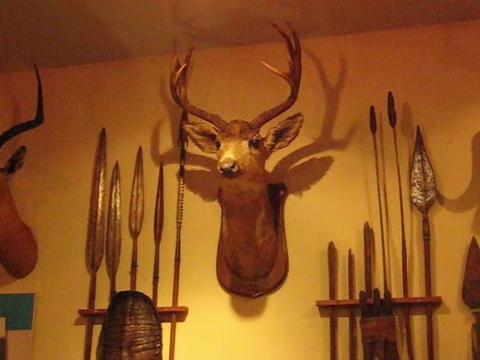 @vietnam.antlers