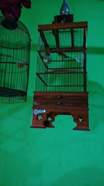 @NDX BIRD FARM