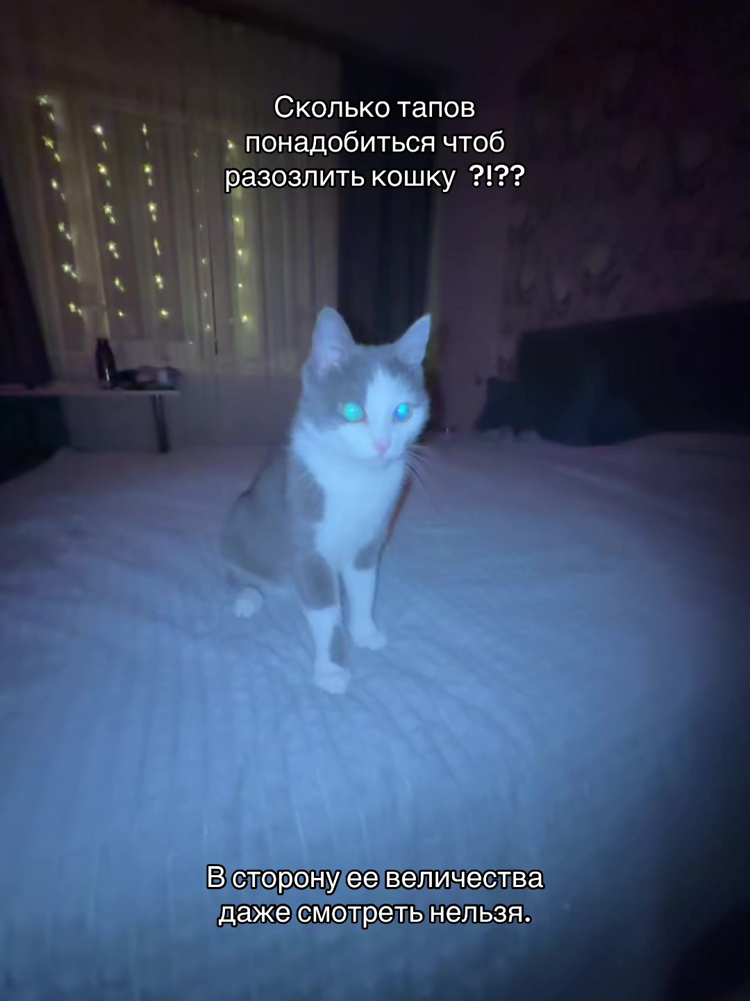 @💙МАЛЬВИНА 💙
