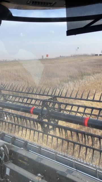 @bf48farmer