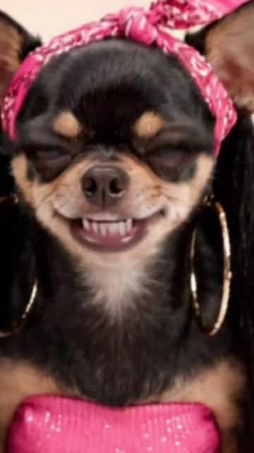 @Fernanda Celestina
