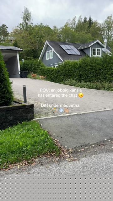 @Ella - hitta ditt inre lugn