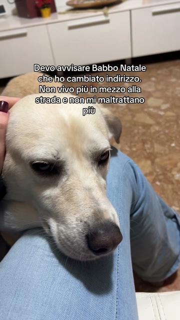@syria