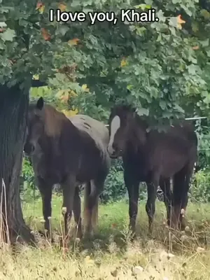 @Beth - Epona Media
