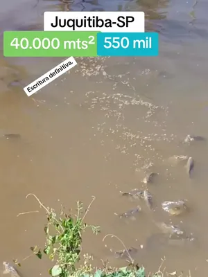 @CÁSSIA CORRETORA DE IMÓVEIS